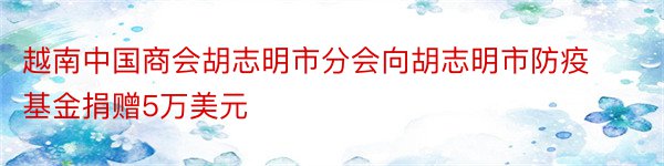 越南中国商会胡志明市分会向胡志明市防疫基金捐赠5万美元