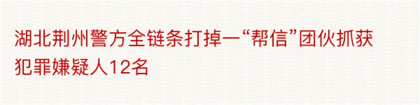 湖北荆州警方全链条打掉一“帮信”团伙抓获犯罪嫌疑人12名